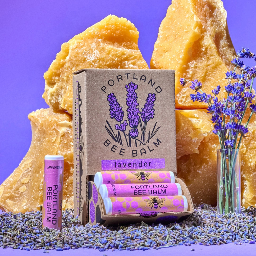 Lavender Beeswax Lip Balm 24-Count Display