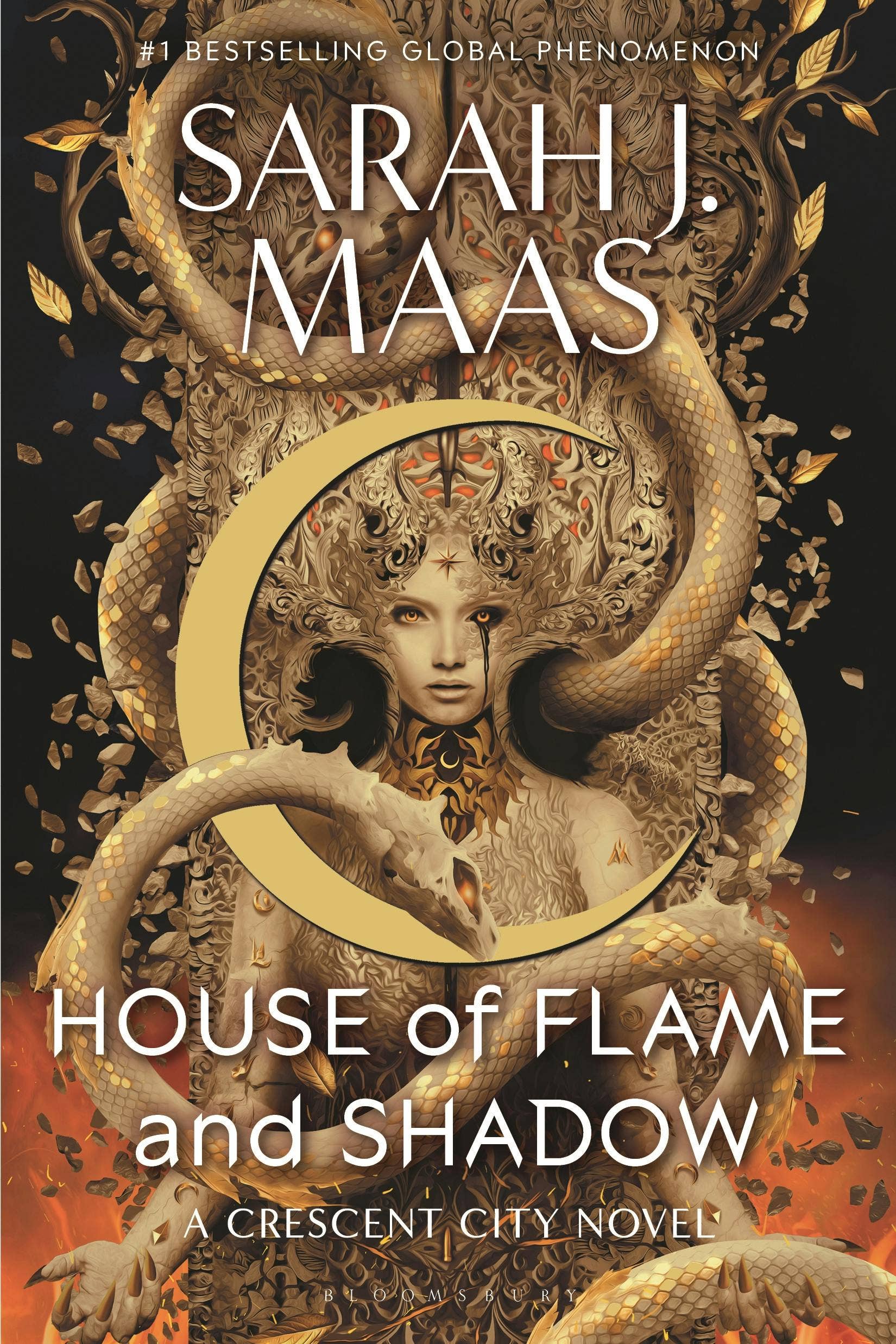 House Flame And Shadow- Sarah Maas
