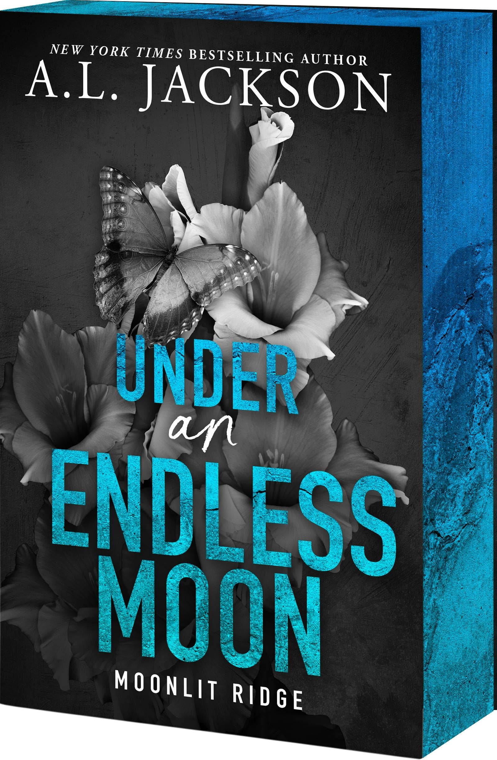 Under An Endless Moon - A.J. Jackson